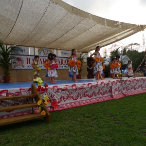 昭島市民くじら祭り ハワイアンパレード